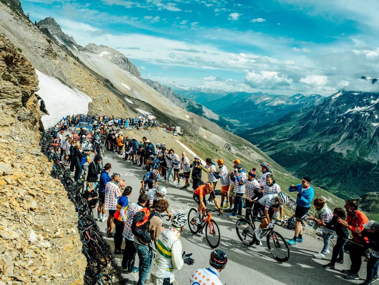 Somente os Fatos Nutrição