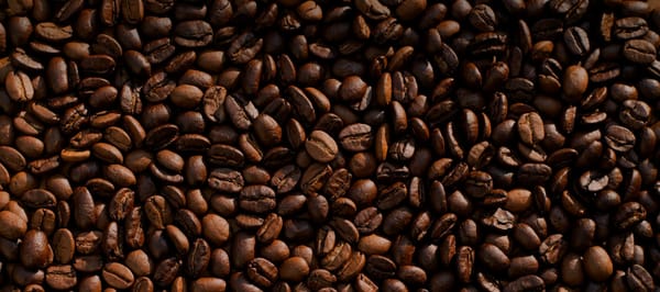 Cafeína no esporte: a droga mais eficaz (e mais mal utilizada) da performance